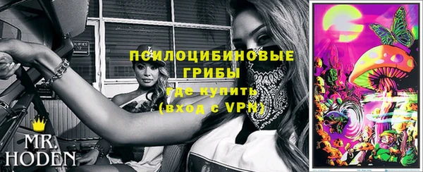 мяу мяу мука Бородино