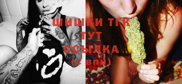 мяу мяу мука Бородино