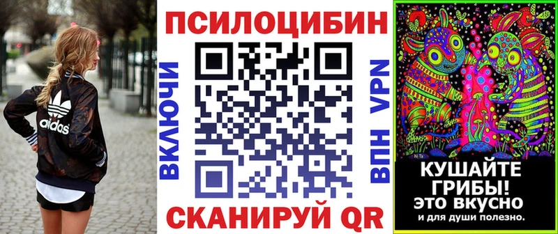 Псилоцибиновые грибы мицелий Купить где Фатеж